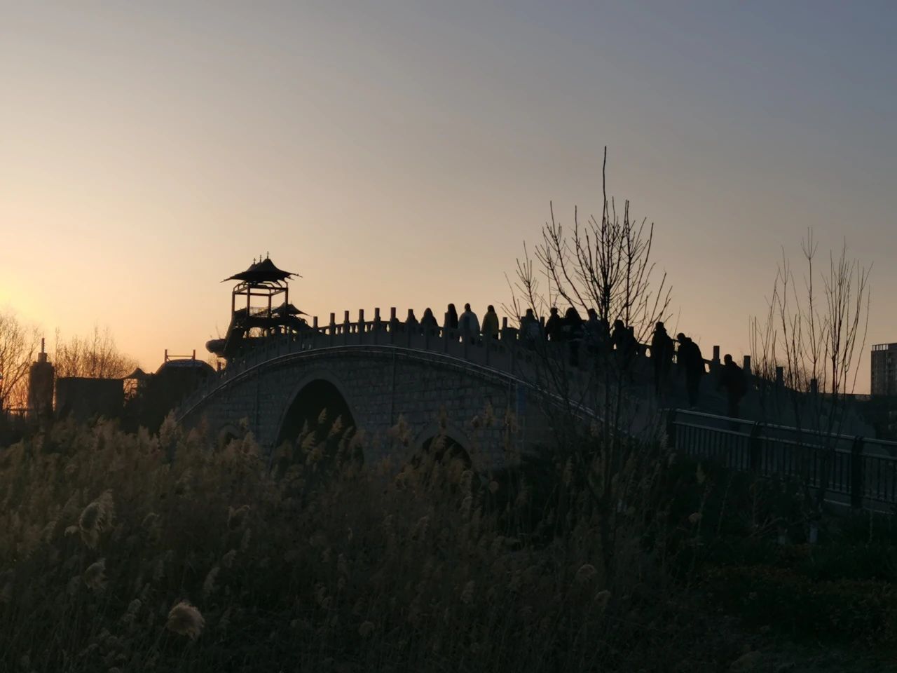 学习成为一个自主的人